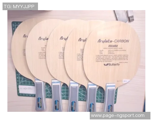 乒乓球装备选购指南精选优质球拍推荐助你提升球技