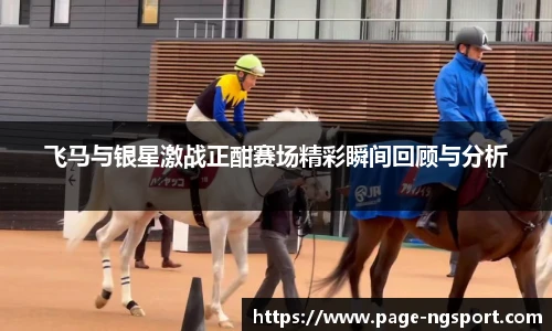 飞马与银星激战正酣赛场精彩瞬间回顾与分析