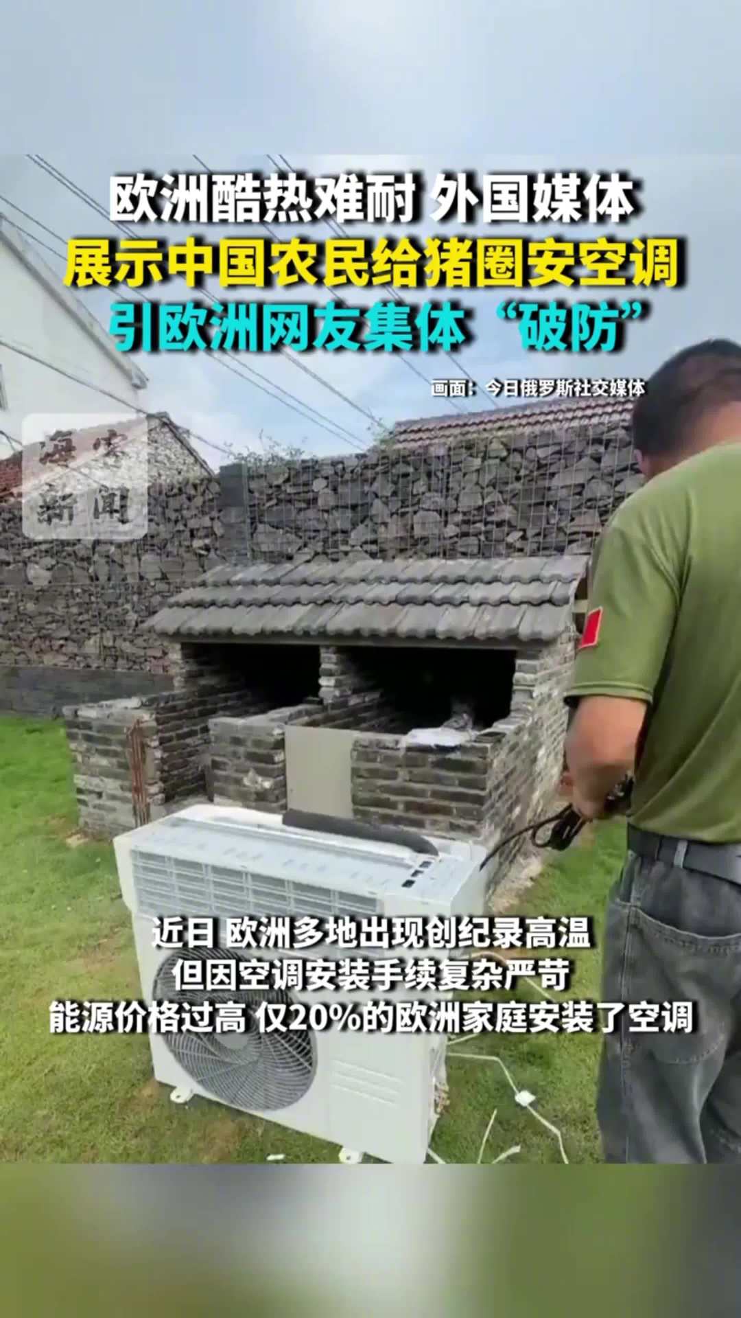 ng体育