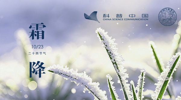 ng体育